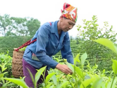 ‘Chiếc neo’ để người dân không tái nghèo