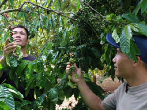 Khi kỹ thuật viên Bio Green cùng nhà nông ‘bắt bệnh’ cho cây