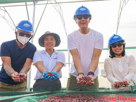 Giá cà phê hôm nay 27/10/2026: Đi ngang, dưới mốc 90.000 đồng/kg