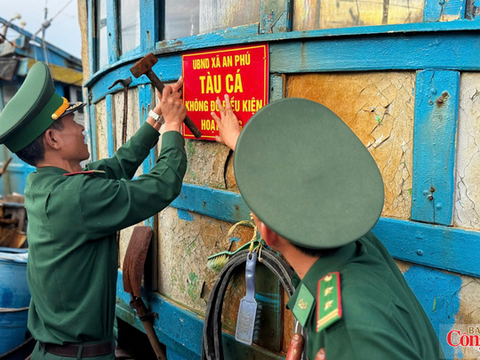 Quảng Ngãi: Hỗ trợ ngư dân giải bản tàu cá, gỡ khó chống khai thác IUU