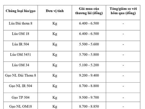 Giá lúa gạo hôm nay ngày 14/6/2026, tuần qua: Gạo xuất khẩu biến động