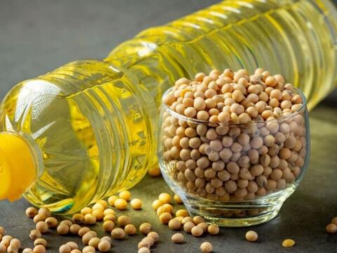 Giá dầu đậu tương tăng lên mức cao nhất gần một tháng