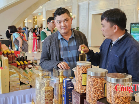 Lâm Đồng rà soát, nâng chất lượng toàn bộ sản phẩm OCOP