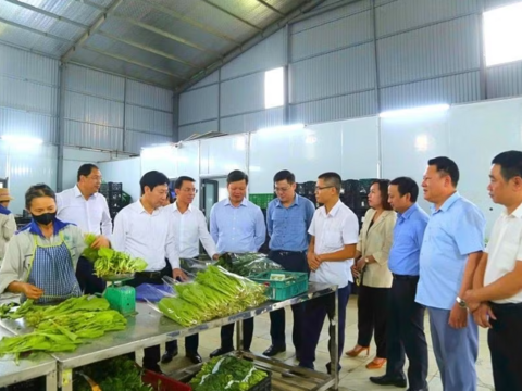 Đào tạo, chuyển giao kỹ thuật nâng sinh kế nông dân Phú Thọ