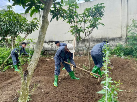 Sơn La đẩy mạnh đào tạo ngành Trồng trọt và Bảo vệ thực vật cho sinh viên