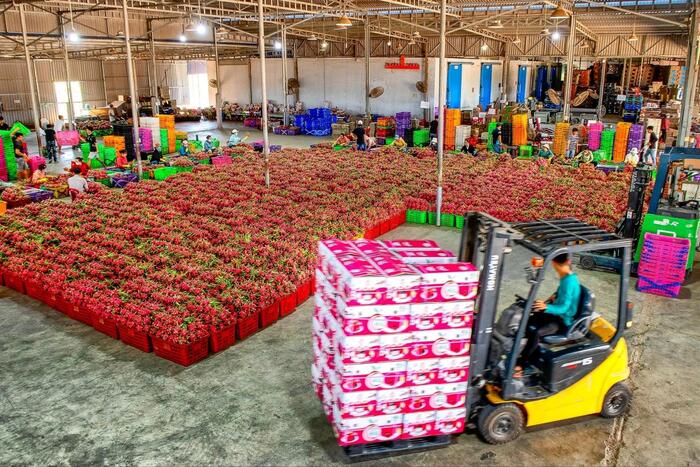 Nông sản rõ nguồn gốc - sự cam kết trách nhiệm