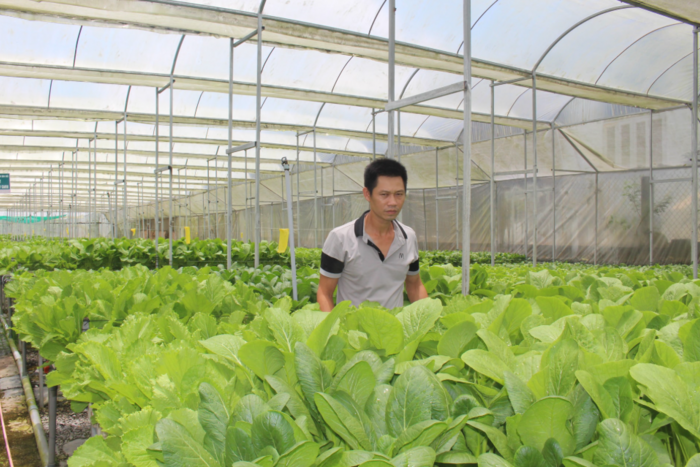 Siết quản lý vật tư, bảo vệ sản xuất nông nghiệp tại Lâm Đồng