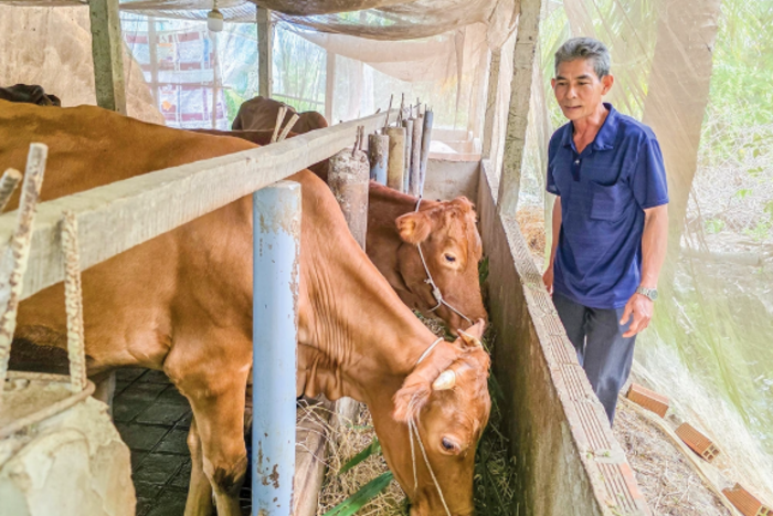 Ngành chăn nuôi và thú y còn nhiều dư địa nâng cao giá trị