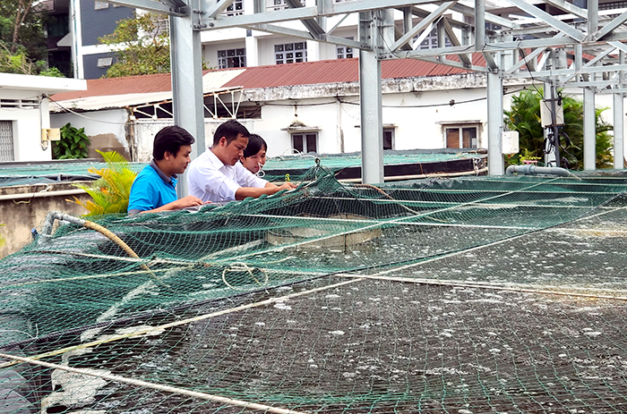 AI - “Chìa khóa” phát triển nông nghiệp hiện đại, bền vững 