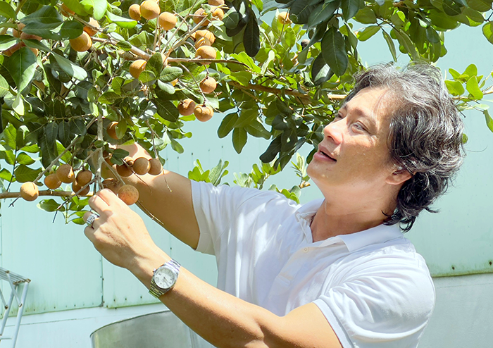 Phát triển vườn cây ăn trái theo quy hoạch, liên kết chuỗi giá trị 