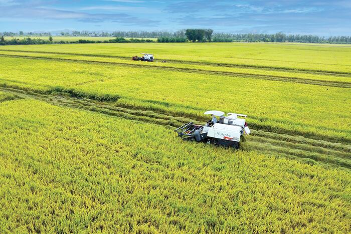 Dựng xây một Mekong Delta xanh - Chung khát vọng, cùng hành độngBài cuối: Xoay trục phát triển, bứt phá tương lai 