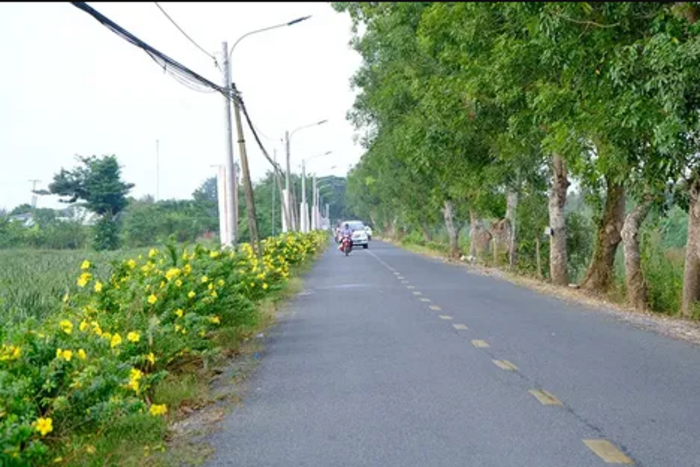 Cần Thơ phấn đấu xây dựng hoàn thành 9 xã nông thôn mới năm 2026