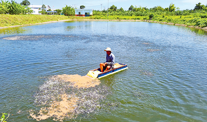 Đảm bảo cung cấp giống cây trồng, vật nuôi an toàn, chất lượng cao cho sản xuất