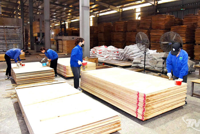 Phát triển bền vững ngành chế biến gỗ
