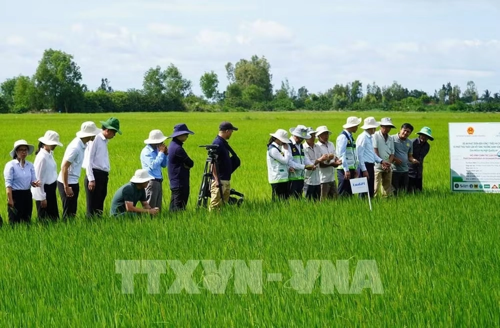 Ngành nông nghiệp định hình mục tiêu tăng trưởng xanh, bền vững và toàn diện