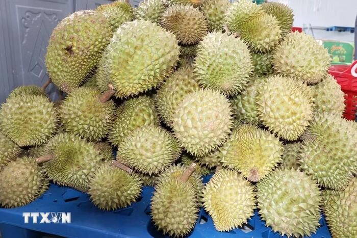 Tháo gỡ điểm nghẽn, mở rộng cửa cho trái cây Việt vào thị trường Trung Quốc 