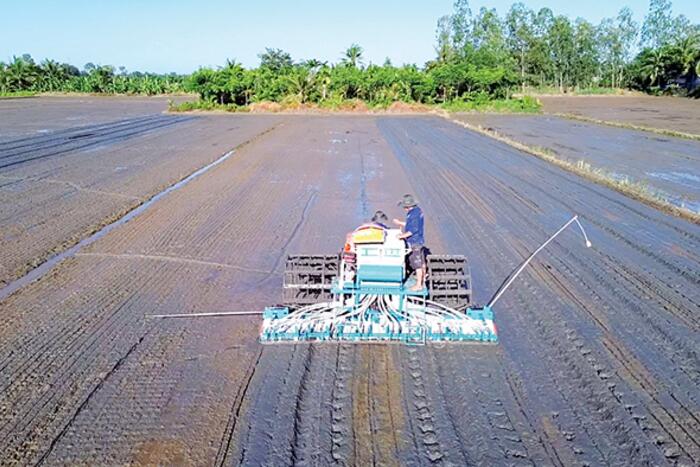 Chủ động theo dõi sát diễn biến thời tiết, sinh vật gây hại trên cây trồng 