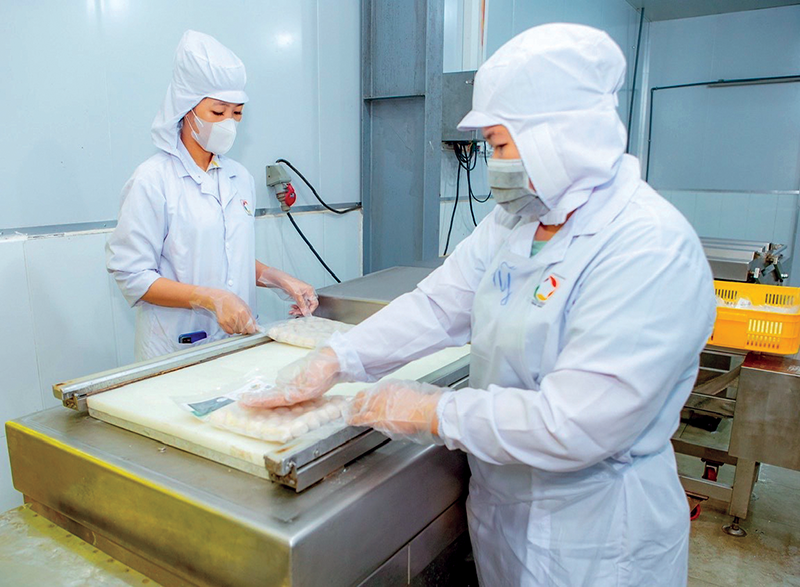 Tạo điều kiện để hợp tác xã thương mại - dịch vụ bứt phá 