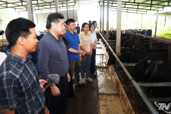 Đánh giá các mô hình khuyến nông tại Thái Nguyên