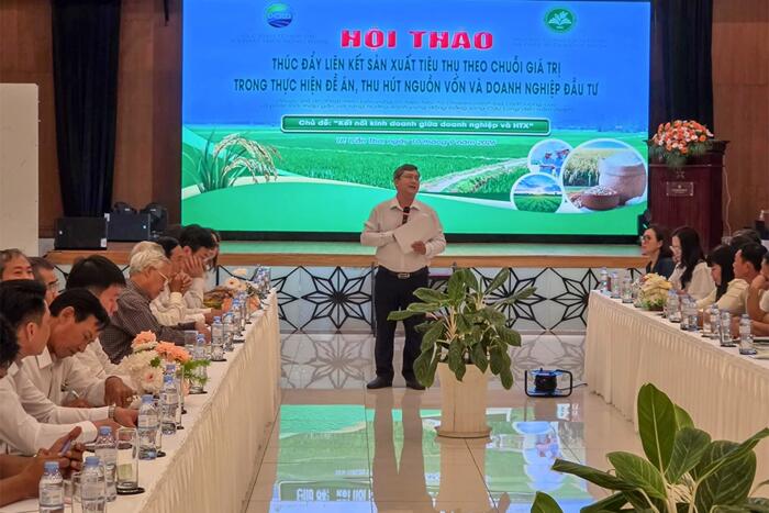 Thúc đẩy liên kết sản xuất, tiêu thụ lúa chất lượng cao và phát thải thấp 