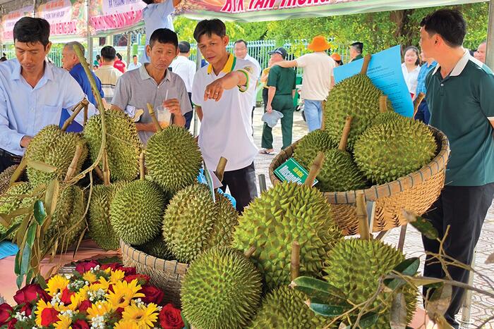 Hiện đại hóa nông nghiệp từ tư duy liên kết chuỗi 