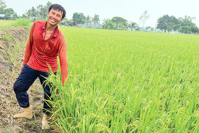 Nông dân kỳ vọng vụ lúa thu đông thắng lợi 