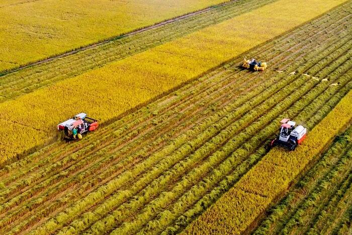 Sản xuất nông nghiệp vào cuộc đua nước rút cuối năm 
