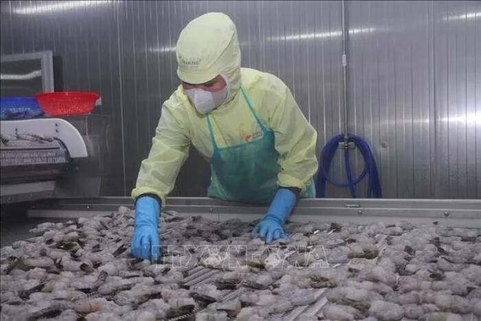 Ngành tôm nhận diện thách thức để bứt phá 