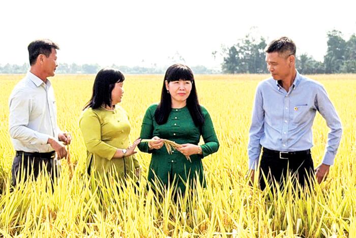 Giữ đà thắng lợi từ canh tác bền vững 