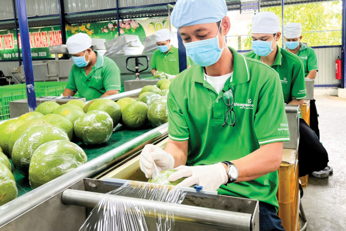 Tìm lời giải cho bài toán tăng trưởng tại ĐBSCL 