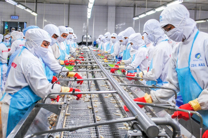 Cà Mau phát triển ngành thủy sản chủ lực 