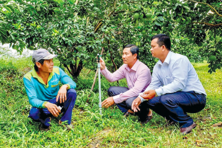 Bảo vệ an toàn rau màu, cây ăn trái trong mùa hạn, mặn