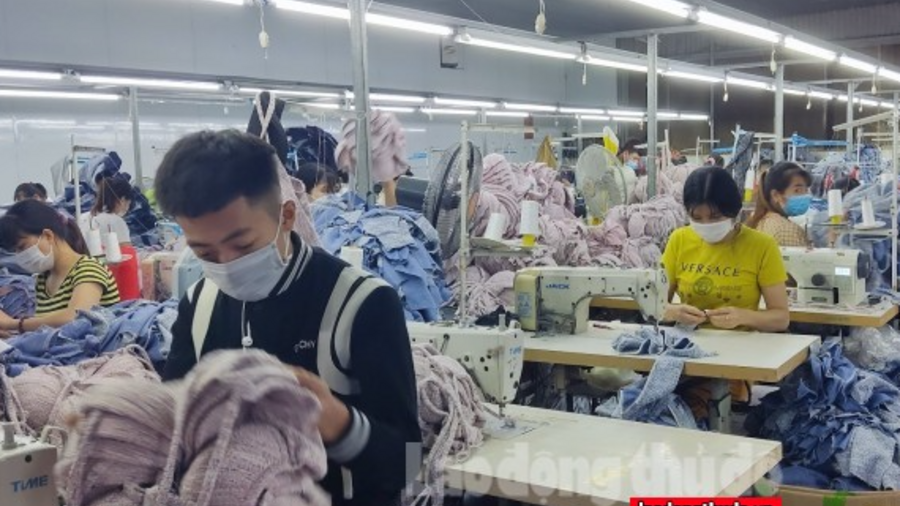 LĐLĐ huyện Mỹ Đức phối hợp với Bảo hiểm xã hội chăm lo tốt nhất cho người lao động