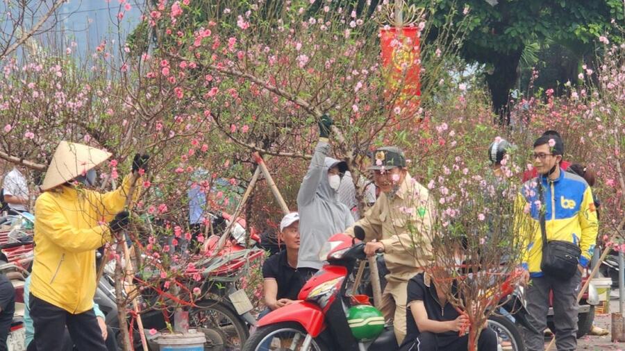 Hoa đào bung nở, tiểu thương thấp thỏm chờ khách