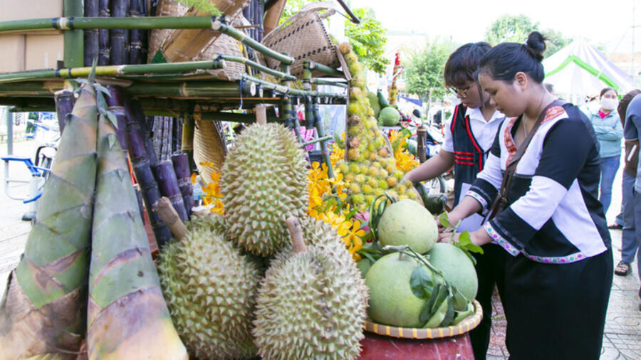 Ngát hương sầu riêng từ vùng núi Khánh Sơn