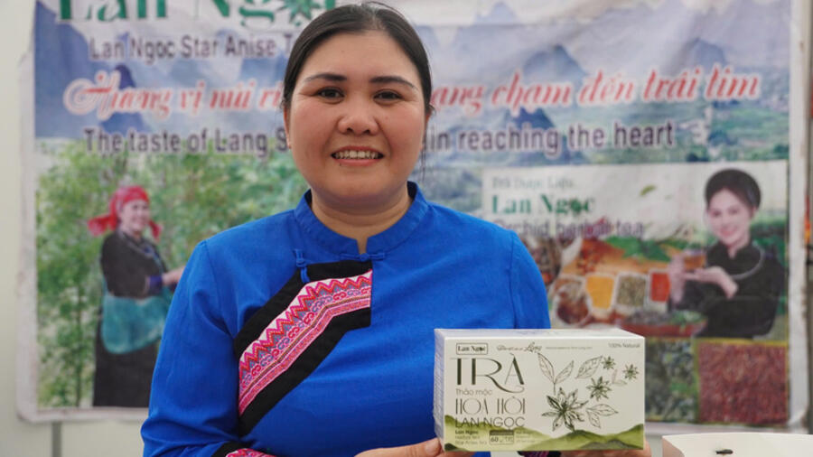 Đồng bào vùng cao đưa hoa hồi, trà hoa vàng vươn tầm giá trị mới