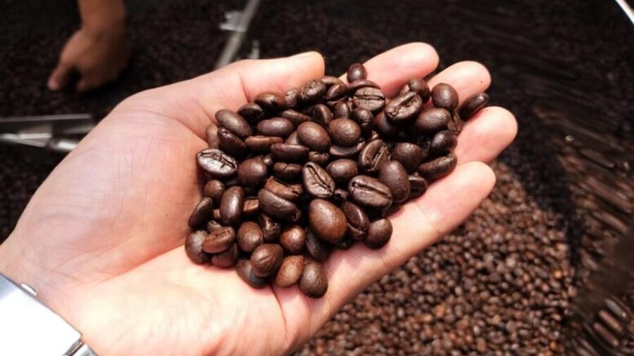 Năm 2025, ngành Nông nghiệp và Môi trường đạt và vượt 9/9 chỉ tiêu