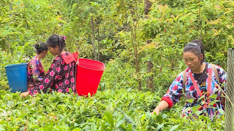 Điện Biên bứt phá giảm nghèo bền vững từ đầu tư hạ tầng đến nâng cao năng lực người dân