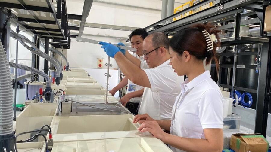 Tận dụng ‘làn sóng lớn’ để doanh nghiệp vươn xa chuỗi giá trị toàn cầu