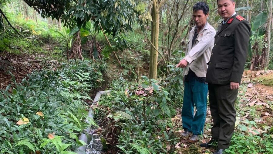 Xử phạt hơn 100 triệu đồng chủ trang trại lợn gây ô nhiễm ở Phú Thọ