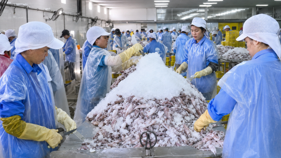 Hà Tĩnh tạo lực đẩy cho sản phẩm công nghiệp nông thôn