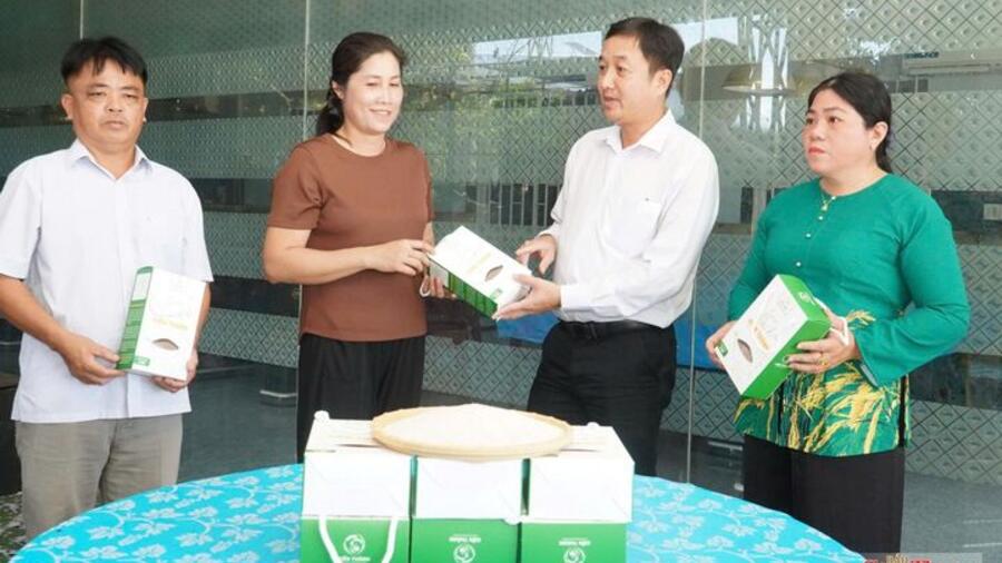 Cần Thơ: Xã Vị Thanh 1 nâng giá trị nông sản qua liên kết sản xuất