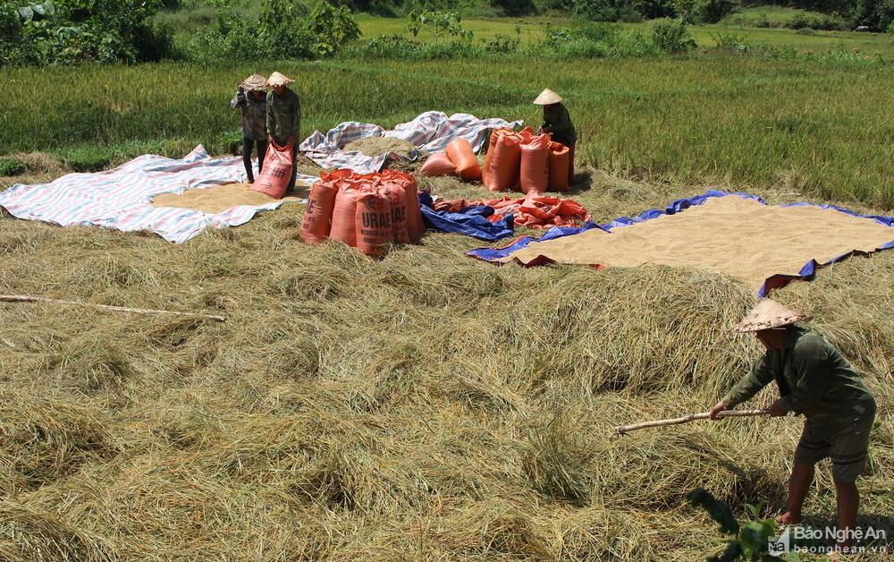 Con Cuông: Hoàn thành tuyến đường gần 10 năm thi công dang dở