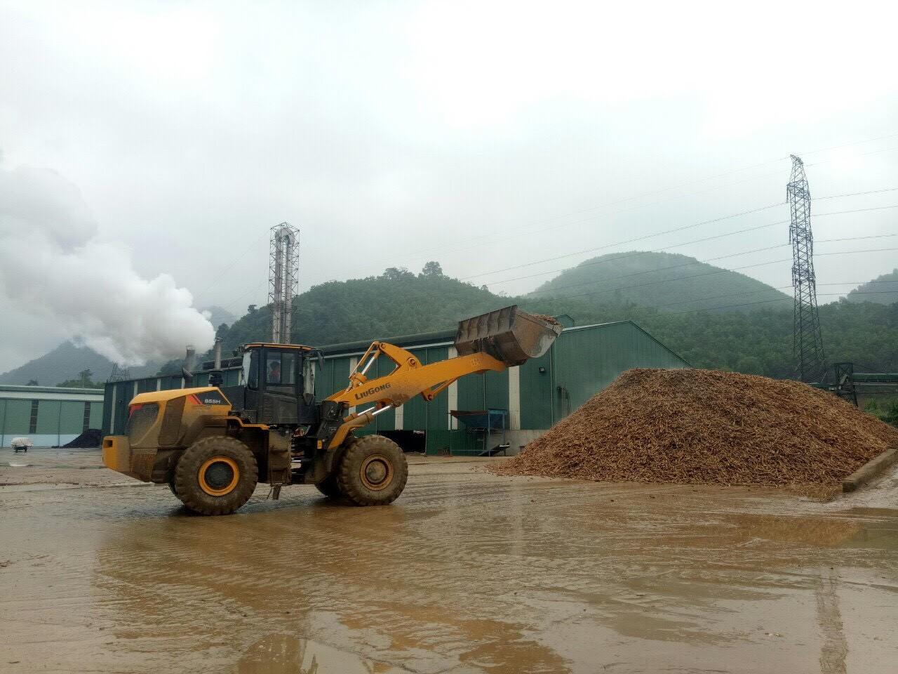 Công ty TNHH chế biến nông sản Hoa Sơn: Sản xuất gắn với bảo vệ môi trường