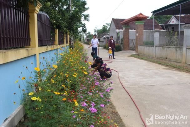 Anh Sơn xây dựng 'nông thôn mới sạch đẹp'