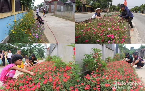 Anh Sơn xây dựng 'nông thôn mới sạch đẹp'