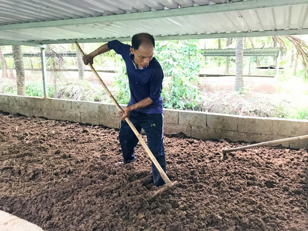 Nuôi trùn quế bón phân cho lúa hữu cơ. Ảnh: MĐ.