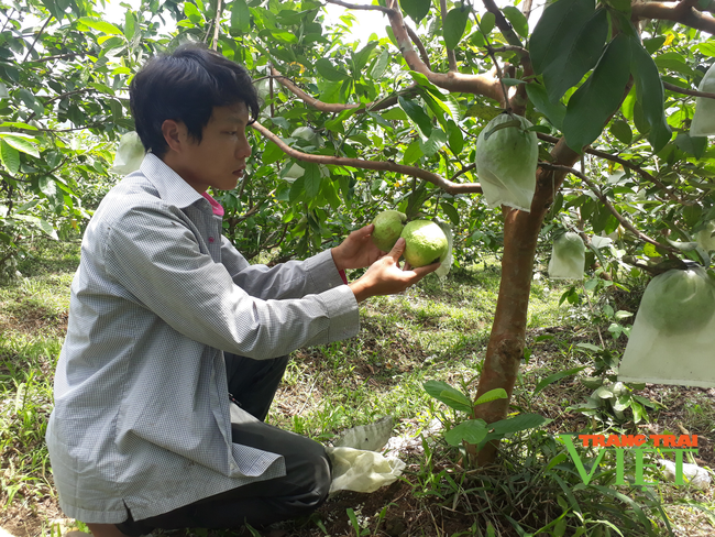 Tân Uyên làm gỉ để nâng cao thu nhập cho người dân? - Ảnh 2.