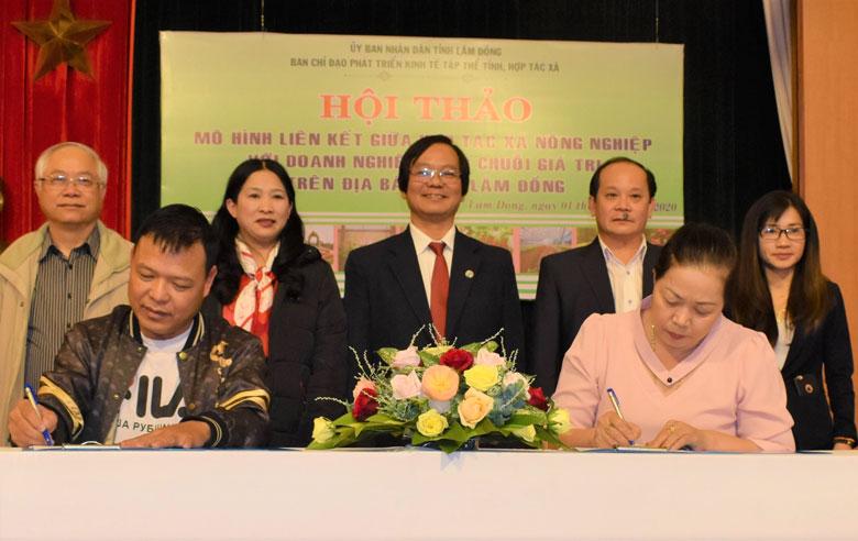 Ngành Nông nghiệp Lâm Đồng tiếp tục xây dựng và nhân rộng mô hình HTX liên kết theo chuỗi giá trị sản phẩm. Ảnh chụp trước ngày 27/4/2021