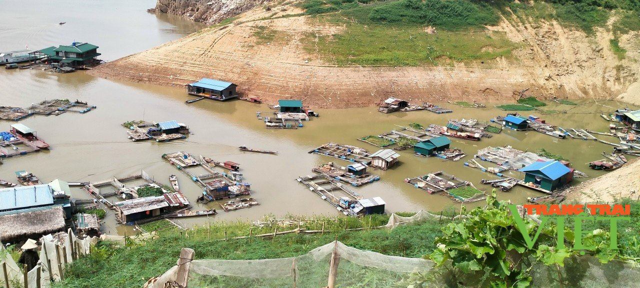 Hoà Bình: Cần các giải pháp nào để khôi phục sản xuất, sau vụ cá chết hàng loạt tại huyện Đà Bắc - Ảnh 2.